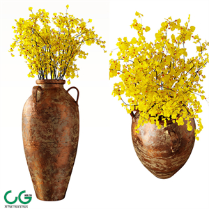 Hydria \ Oncidium